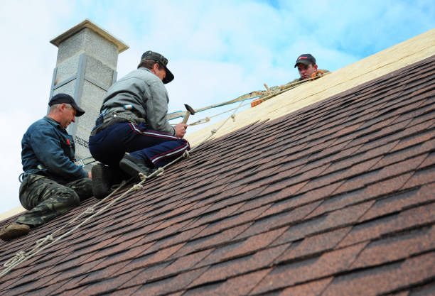 Best Roof Gutter Cleaning  in Raymond, IL