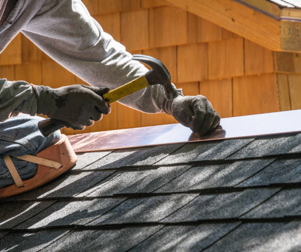 Best Roof Repair Services  in Raymond, IL